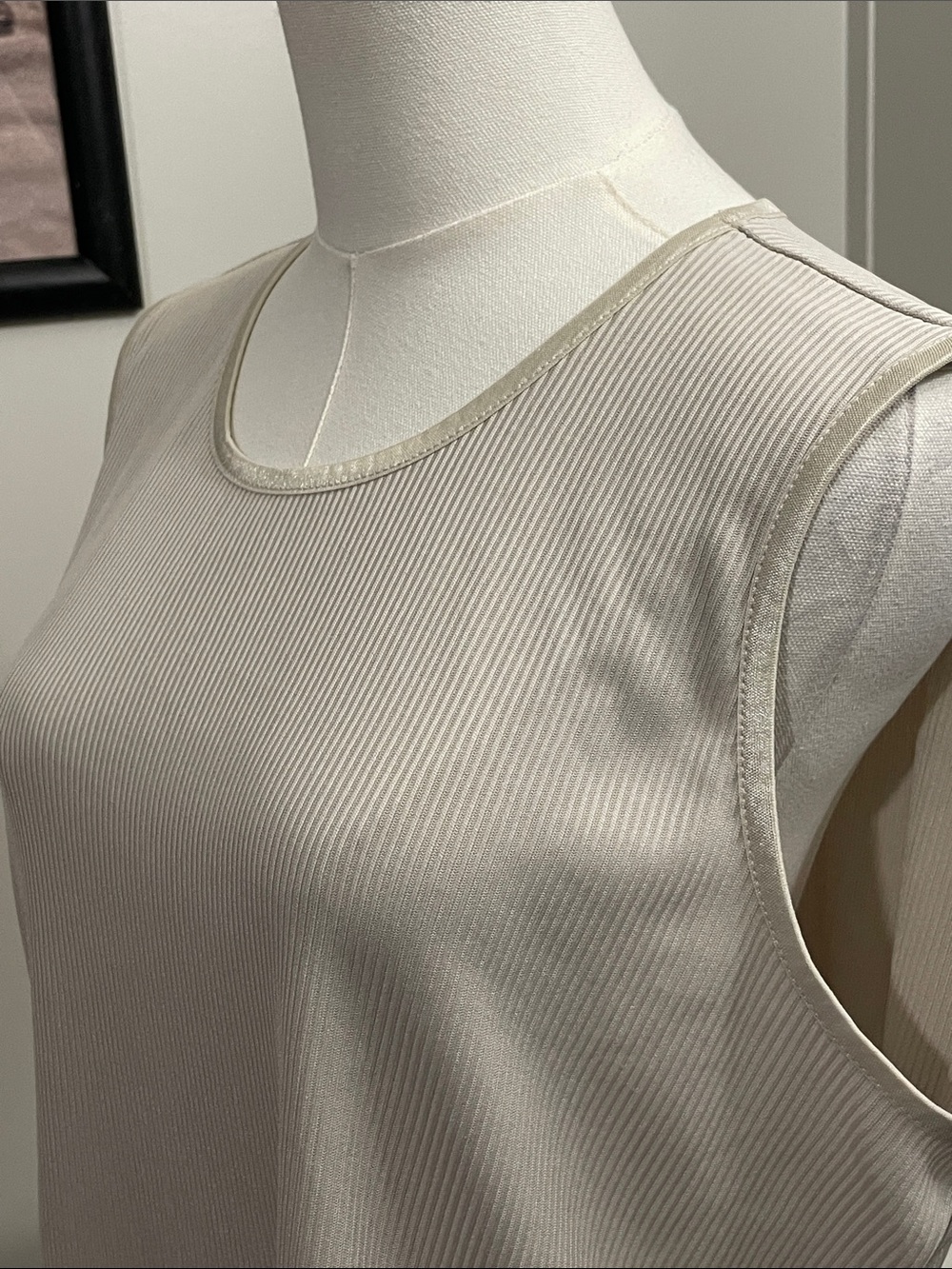 Alia Beige Ribbed Tank (L) - Picture 4 of 7